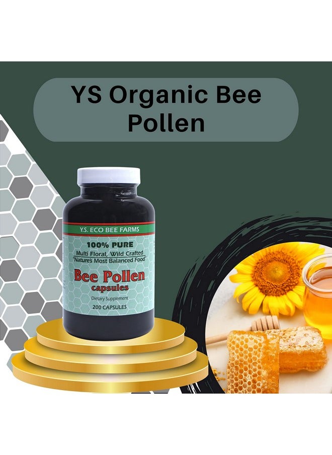 Worldwide Nutrition - Y.S. Eco Bee Farms 100% Pure Wild Crafted Bee Pollen Capsules Organic Bee Pollen Vitamin Supplements Amino Acids Organic Protein Vitamin C Vitamin B12 Gluten Free 2Pk Of 200Ct W Bonus Key Chain - Image 1