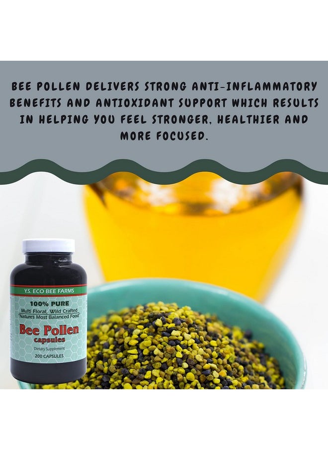 Worldwide Nutrition - Y.S. Eco Bee Farms 100% Pure Wild Crafted Bee Pollen Capsules Organic Bee Pollen Vitamin Supplements Amino Acids Organic Protein Vitamin C Vitamin B12 Gluten Free 2Pk Of 200Ct W Bonus Key Chain - Image 1