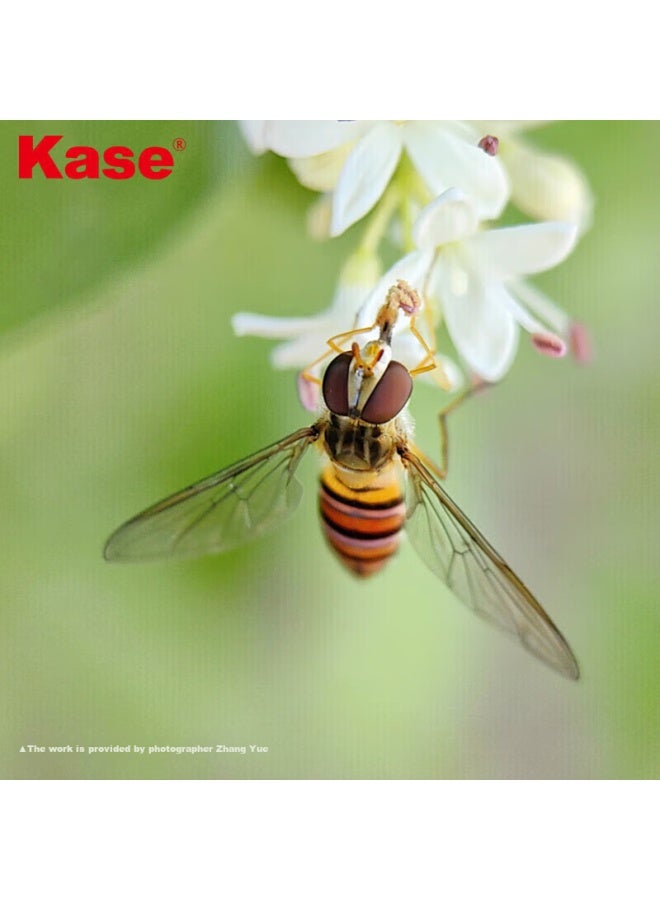 Kase كيس (كيس) عدسة ماكرو برو للهاتف بلون فضي مثلج للحشرات والزهور والمجوهرات مع تأثير الخلفية الضبابية مناسبة لهواوي وآبل وآيفون وشاومي وسامسونج وأوف وغيرها من الهواتف الذكية - Image 3