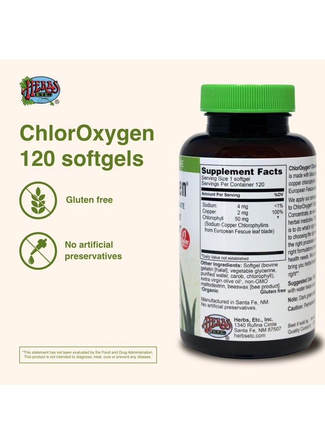 Herbs Etc. ChlorOxygen Chlorophyll Concentrate - Aids Healthy Blood Circulation - High-Altitude Environment Support - Energy Support - 120 Softgels (120 Servings) - Image 3