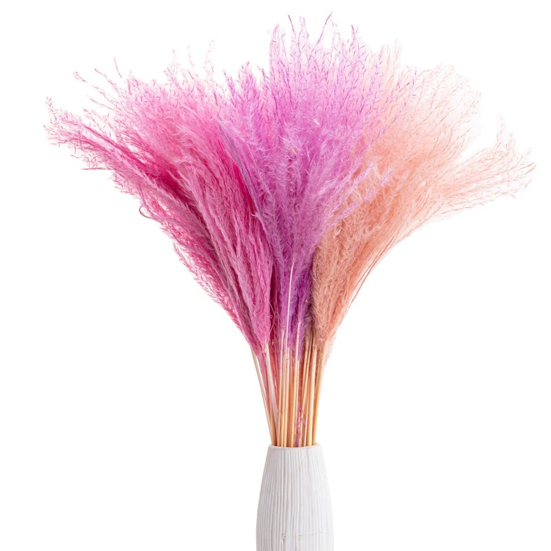 Bluejw Dried Pampas Grass Decor - Fluffy Reed Plumes Small Pampas Grass Decorative Flowers Dried Plants Home Wedding Boho Decor - Image 2