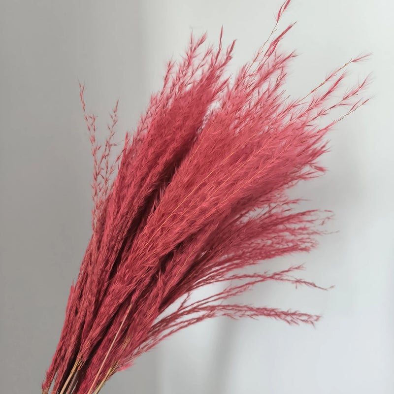 Bluejw Dried Pampas Grass Decor - Fluffy Reed Plumes Small Pampas Grass Decorative Flowers Dried Plants Home Wedding Boho Decor - Image 1