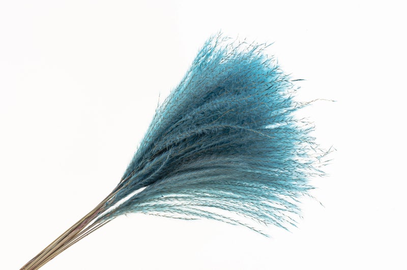 Bluejw Dried Pampas Grass Decor - Fluffy Reed Plumes Small Pampas Grass Decorative Flowers Dried Plants Home Wedding Boho Decor - Image 3