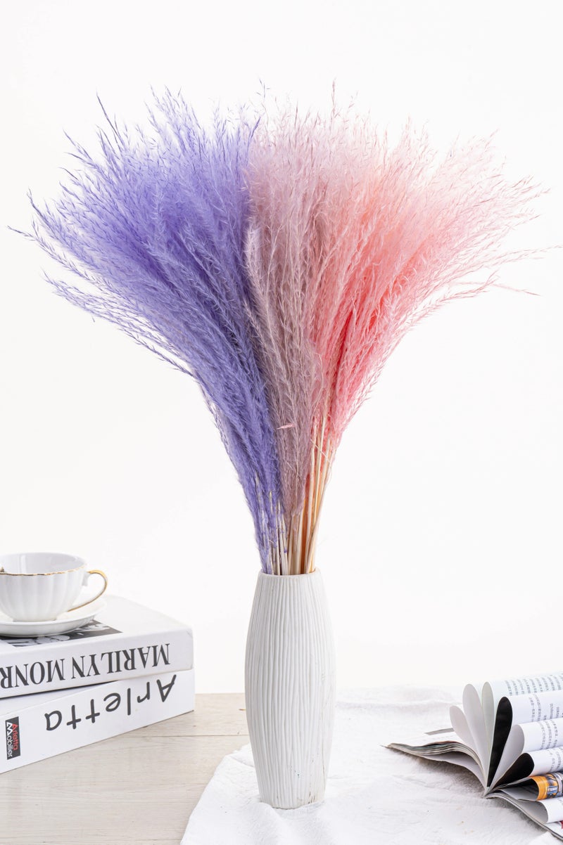 Bluejw Dried Pampas Grass Decor - Fluffy Reed Plumes Small Pampas Grass Decorative Flowers Dried Plants Home Wedding Boho Decor - Image 5