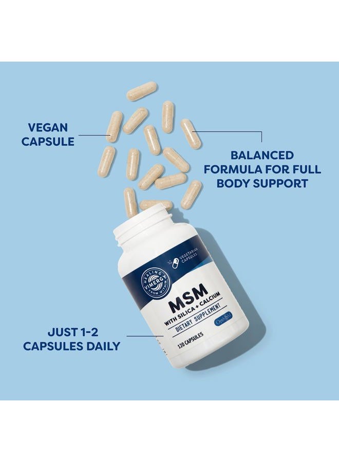 Vimergy MSM with Silica + Calcium Capsules, 120 Servings – Supports Bone Health – Promotes Hair & Nail Health – Non-GMO, Gluten-Free, Kosher, Soy-Free, Corn-Free, Vegan & Paleo Friendly - Image 3