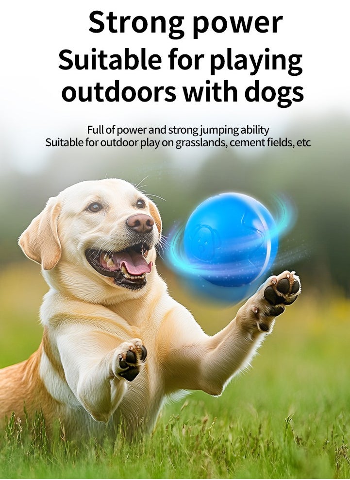Interactive Dog Ball Toys with Motion Activated, Self Moving Bouncing Puppy Ball with Remote Control, Rechargeable Flashing Dog Toy Automatic Rolling Pet Ball with Adjustable Speeds - Blue