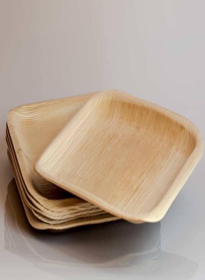 Perfectware Palm Leaf Plates Bamboo Plates Disposable 8 Inch Square (25 Pc) Compostable and Biodegradable Eco Friendly. - Image 4