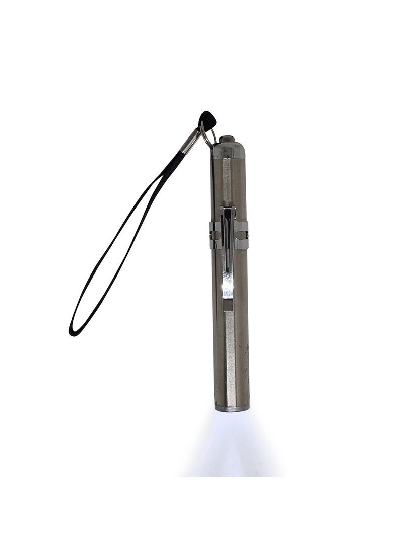 Sahyog Wellness Sahyog Wellness Metal Mini Medical Pocket Pen Torch Having White Light Silver  - Image 1