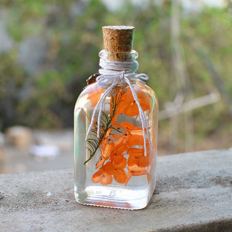 myBageecha Tangerine Beaut Preserved Tabletop Natural Long Lasting Flower - Image 3