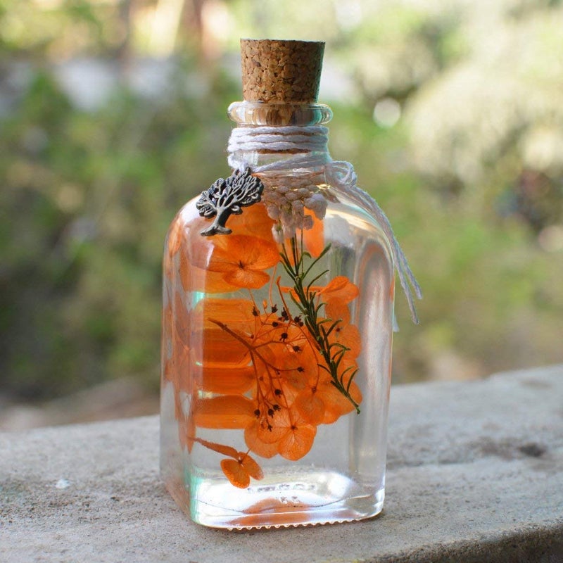 myBageecha Tangerine Beaut Preserved Tabletop Natural Long Lasting Flower - Image 1