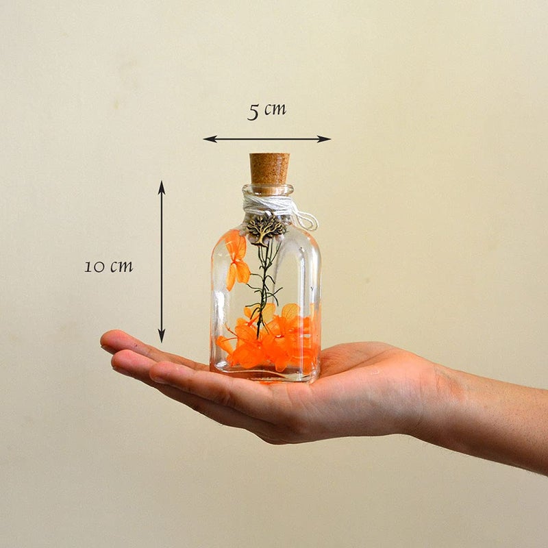 myBageecha Tangerine Beaut Preserved Tabletop Natural Long Lasting Flower - Image 2