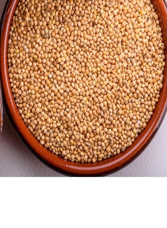 Scroll Store Foxtail Millet | kangni Seeds for Birds | Budgies, Lovebirds, Cockatiels, Canary, Finches, Waxbills, Parrots of All Life Stages (5 Kg, Foxtail Millet) - Image 5