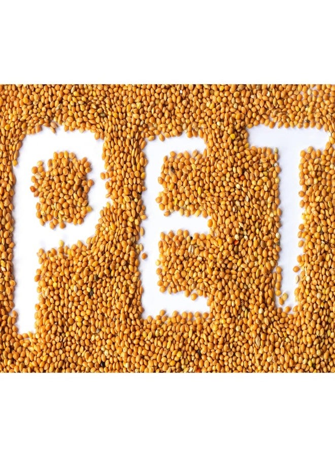 Scroll Store Foxtail Millet | kangni Seeds for Birds | Budgies, Lovebirds, Cockatiels, Canary, Finches, Waxbills, Parrots of All Life Stages (5 Kg, Foxtail Millet) - Image 1