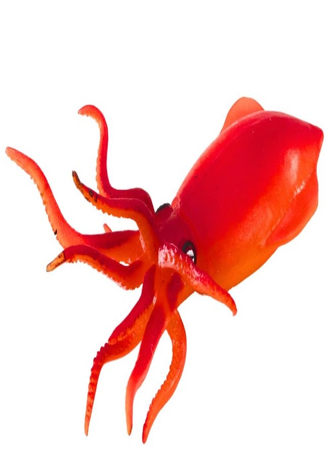 Amitasha Aquatic Animal Toy for Kids Realistic Squid Fish Squishy Figurines Rubber Sea Animal Soft Squeeze Toy for Boys Girls Lookalike Ocean Creatures Educational Gift - Image 1