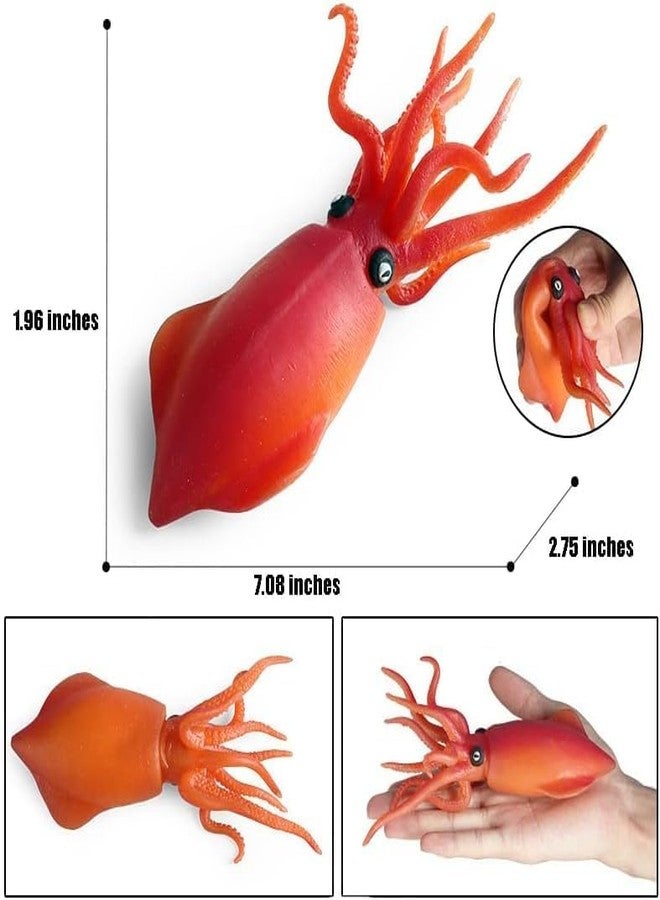 Amitasha Aquatic Animal Toy for Kids Realistic Squid Fish Squishy Figurines Rubber Sea Animal Soft Squeeze Toy for Boys Girls Lookalike Ocean Creatures Educational Gift - Image 4