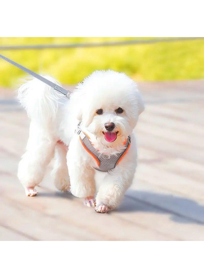 10 Mm Nylon Leash Padded Vest Harnesses Training Collar Adjustable Soft Mesh Comfort Padded Vest Harness For Small Dogs, Cat, Puppies - Color As Vary - Image 1