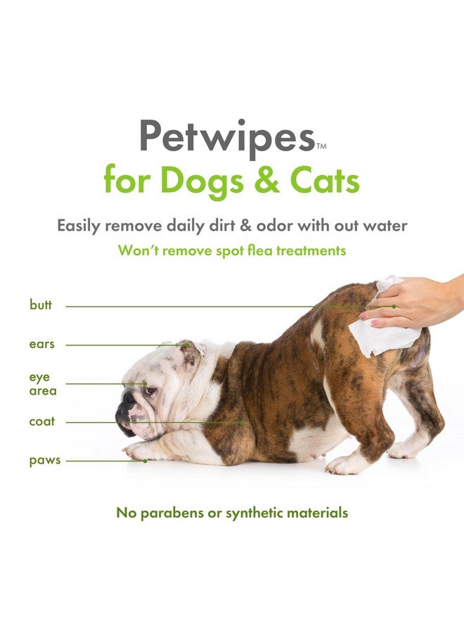 بيتكين مناديل بيتكين النباتية للحيوانات الأليفة، 100 منديل، عبوة من 4 قطع - مناديل كبيرة وسميكة، مستدامة، بيولوجية، للكلاب والقطط - للوجه، والكفوف، والأذنين، والجسم، ومنطقة العين - تنظف وترطب بوعي - بدون رائحة - Image 3