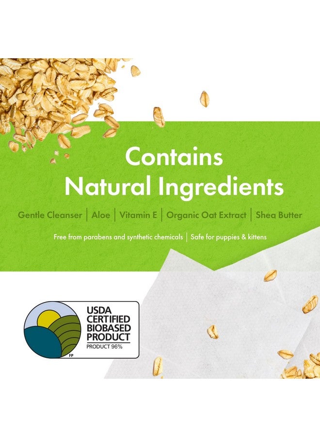 بيتكين مناديل بيتكين النباتية للحيوانات الأليفة، 100 منديل، عبوة من 4 قطع - مناديل كبيرة وسميكة، مستدامة، بيولوجية، للكلاب والقطط - للوجه، والكفوف، والأذنين، والجسم، ومنطقة العين - تنظف وترطب بوعي - بدون رائحة - Image 5