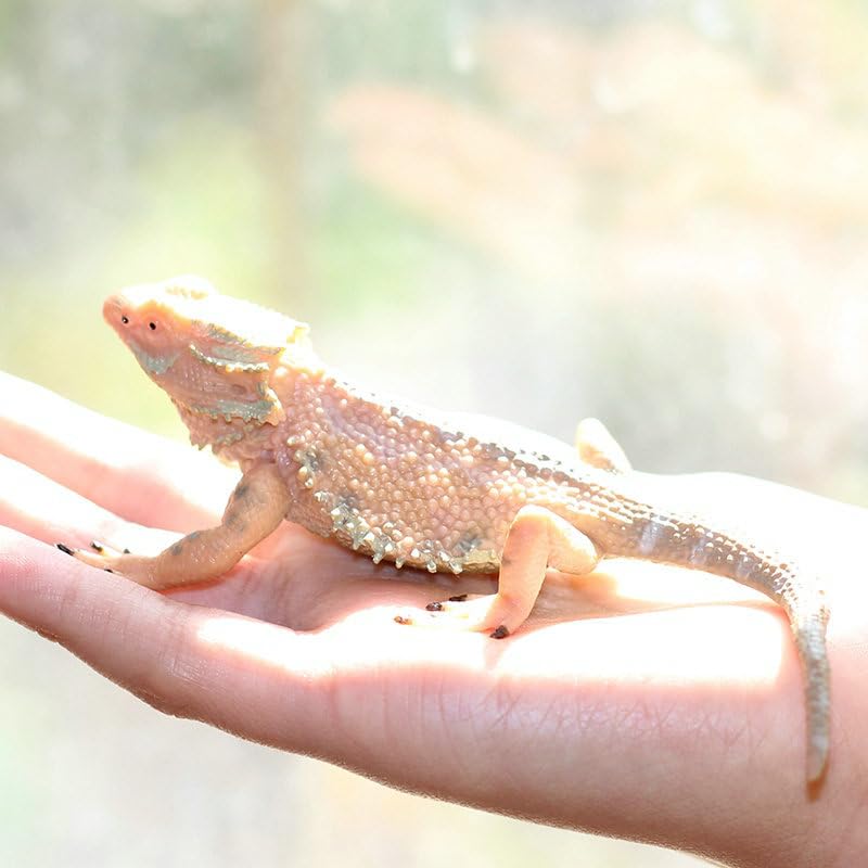 Rich Boxer 5'' Lizard Figurine Bearded Dragon Animal Figurine Plastic Lizard Reptile Model for Home Garden Decoration - Image 5