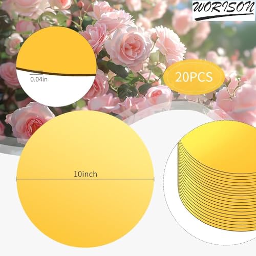 worison 6 Piece Acrylic Round Mirror Finish Wall Sticker Set – Self Adhesive, Lightweight Decorative Mirrors for Home Interior Design, Living Room, Bedroom, Office, Art Décor (Golden, 8 Inch) - Image 5