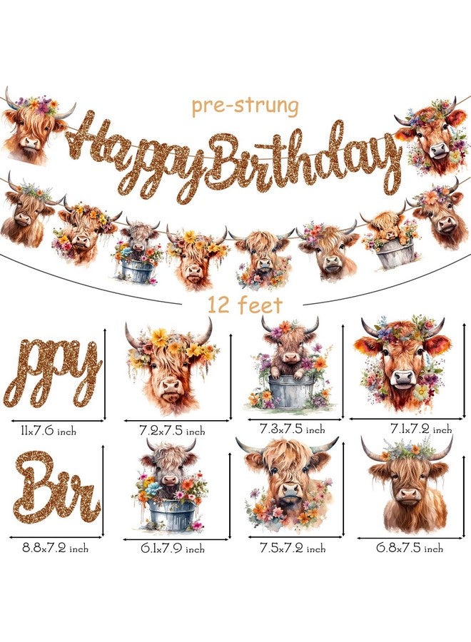 اوموني لافتة عيد ميلاد بقرة المرتفعات باللون البني اللامع، زينة لافتة ماشية المرتفعات، ديكورات حفلات عيد ميلاد بقرة المرتفعات من أجل بقرة المرتفعات، مستلزمات حفلات أعياد الميلاد وحفلات استقبال المولود الجديد - Image 3