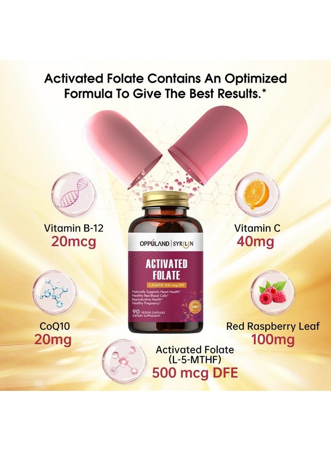 oppuland - Activated Folate-L 5-MTHF DFE Supplement - Methylfolate B9 MTHF with Vitamin B12, CoQ10, & Red Raspberry - Methylated L-Methylfolate for Men and Women - 500 mcg - 90 Veggie Capsules - Image 2