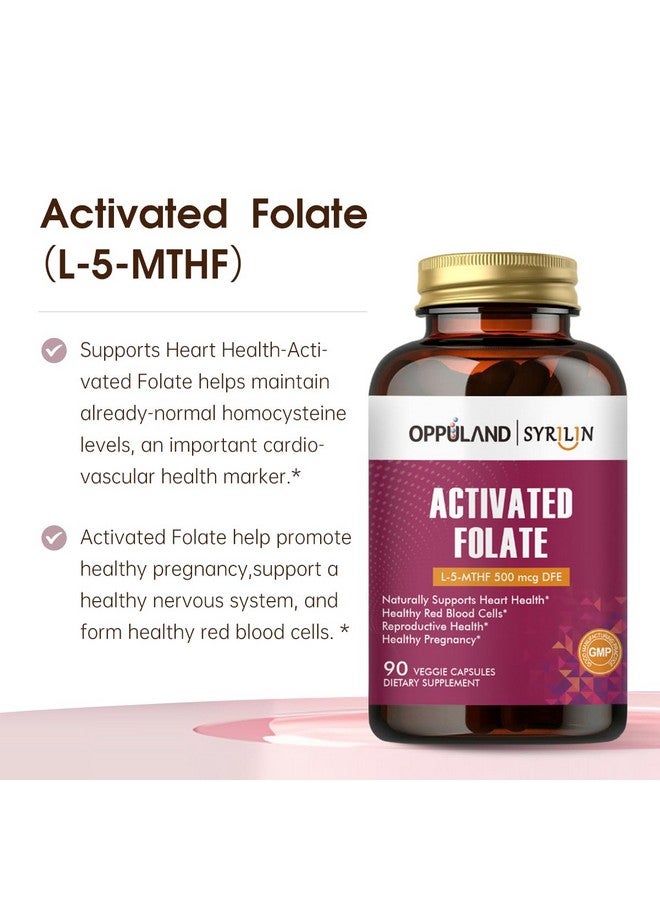 oppuland - Activated Folate-L 5-MTHF DFE Supplement - Methylfolate B9 MTHF with Vitamin B12, CoQ10, & Red Raspberry - Methylated L-Methylfolate for Men and Women - 500 mcg - 90 Veggie Capsules - Image 3