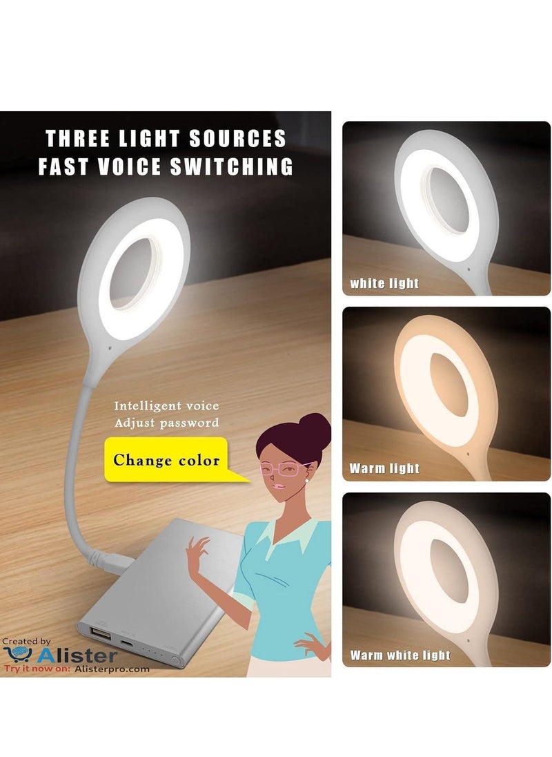 Generic - 360 Degree Rotating USB Interface Control LED Night Light, Foldable, Multi-directional Lighting, Three Modes, Brightness Readings, etc. (2 Pack) - Image 1