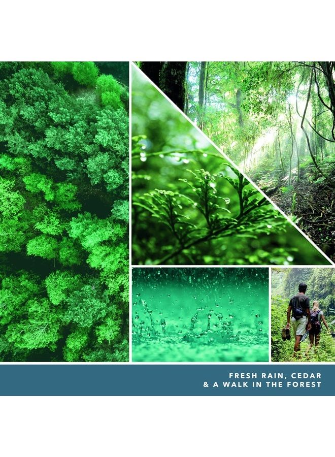 YANKEE CANDLE عبوة إعادة تعبئة معطر الهواء من بايسايد برائحة الأرز، 3 عبوات - Image 2