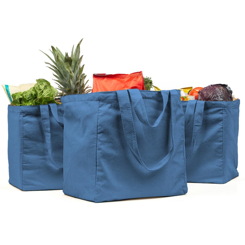 VeraMia Canvas Grocery Bag 3pc Jumbo Set with Real Pockets, Long Shoulder Strap and Short Handle. Reusable Shopping Bags for Groceries Heavy Duty, Foldable, Washable, Grocery Tote Bag (Sky Blue) - Image 1