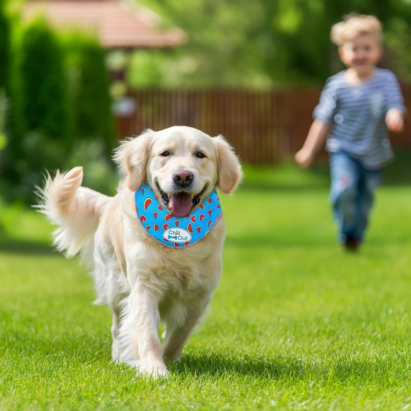 أوول فور بوز ALL FOR PAWS وشاح تبريد للكلاب، طوق تبريد للكلاب ولفافة للرقبة، وشاح تبريد مثلج للكلاب الكبيرة، طوق تبريد أزرق (L، محيط الرقبة 17.3-20.4 بوصة) - Image 5