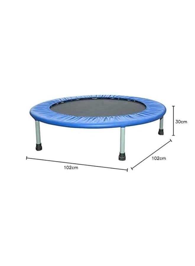 Lifetop Fitness 40 Inch Trampoline for Adults and Kids, Rebounder Trampoline, with Padding & Springs Elastic Safe for Indoor Outdoor Exercise Workout - Image 4