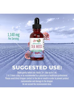 MaryRuth Organics Organic Sea Moss Liquid Drops Unflavored 1 Fl Oz  - Image 3