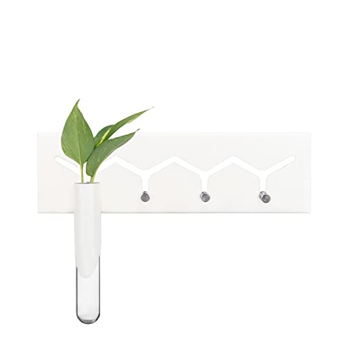 iCraft Modern Test Tube Planter with Metal Key Holder for Home | Durable Wall Hanging Plant and Keys Stand for Home, Office, Room, Outdoors, Indoors (White), Small - Image 1