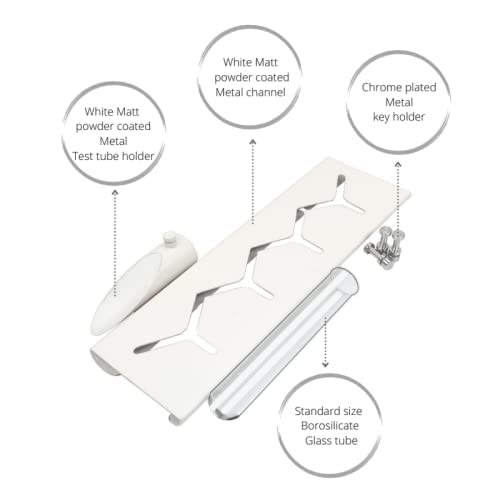 iCraft Modern Test Tube Planter with Metal Key Holder for Home | Durable Wall Hanging Plant and Keys Stand for Home, Office, Room, Outdoors, Indoors (White), Small - Image 4