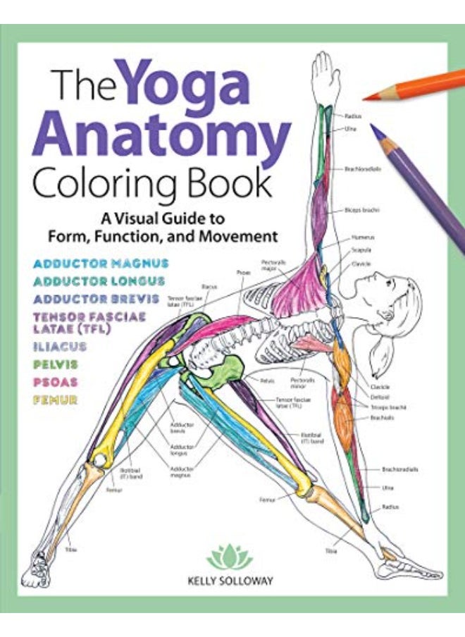 null - The Yoga Anatomy Coloring Book: A Visual Guide to Form, Function, and Movement - Image 1