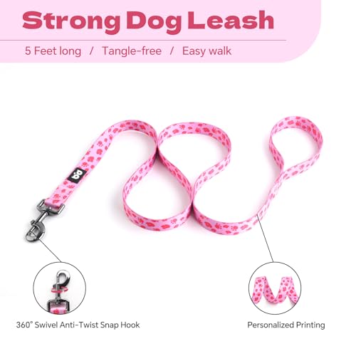QQPETS Dog Harness Leash Set Adjustable Heavy Duty No Pull Halter Harnesses for Small Medium Large Breed Dogs Back Clip Anti-Twist Perfect for Walking - Image 3