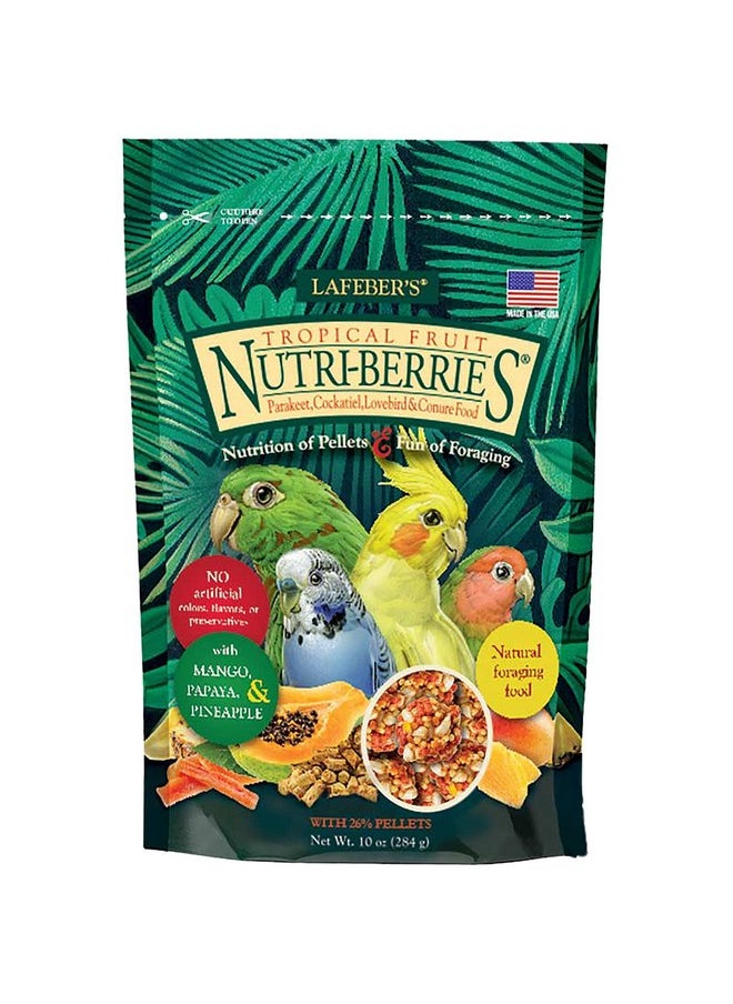لافيبيرز طعام الطيور الأليفة LAFEBER'S Tropical Fruit Nutri-Berries، مصنوع من مكونات غير معدلة وراثيًا ومناسبة للبشر، للطيور الكوكتيل والكونيور والببغاوات (البادجي) والطيور العاشقة (فاكهة استوائية 10 أونصة)  - Image 1