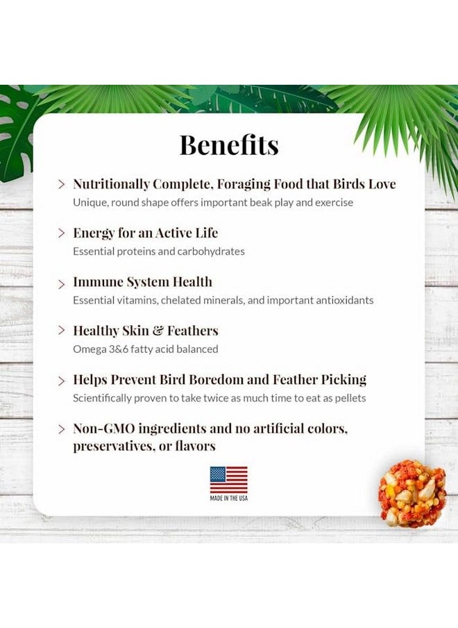 لافيبيرز طعام الطيور الأليفة LAFEBER'S Tropical Fruit Nutri-Berries، مصنوع من مكونات غير معدلة وراثيًا ومناسبة للبشر، للطيور الكوكتيل والكونيور والببغاوات (البادجي) والطيور العاشقة (فاكهة استوائية 10 أونصة)  - Image 3