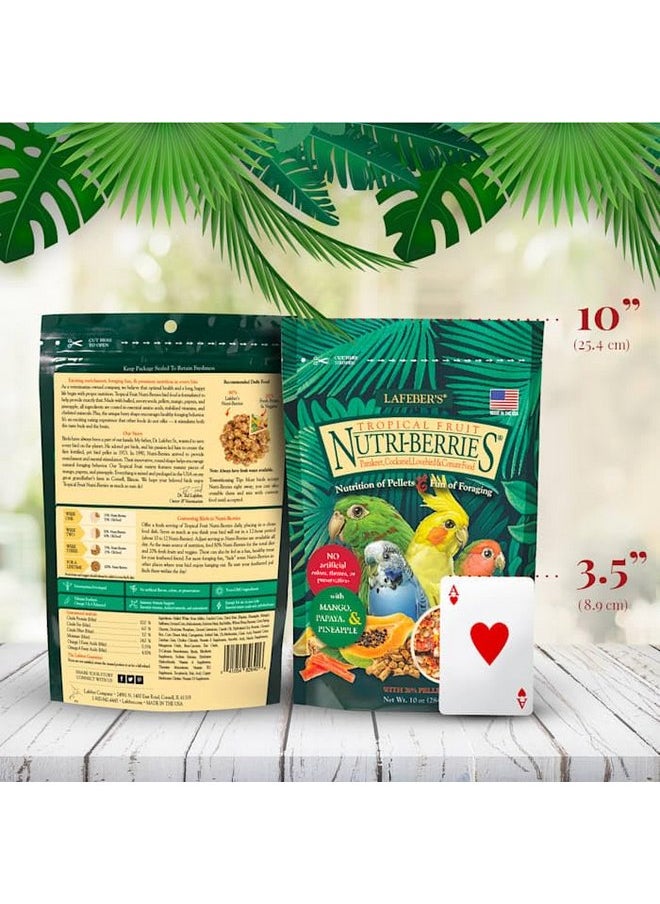 لافيبيرز طعام الطيور الأليفة LAFEBER'S Tropical Fruit Nutri-Berries، مصنوع من مكونات غير معدلة وراثيًا ومناسبة للبشر، للطيور الكوكتيل والكونيور والببغاوات (البادجي) والطيور العاشقة (فاكهة استوائية 10 أونصة)  - Image 2
