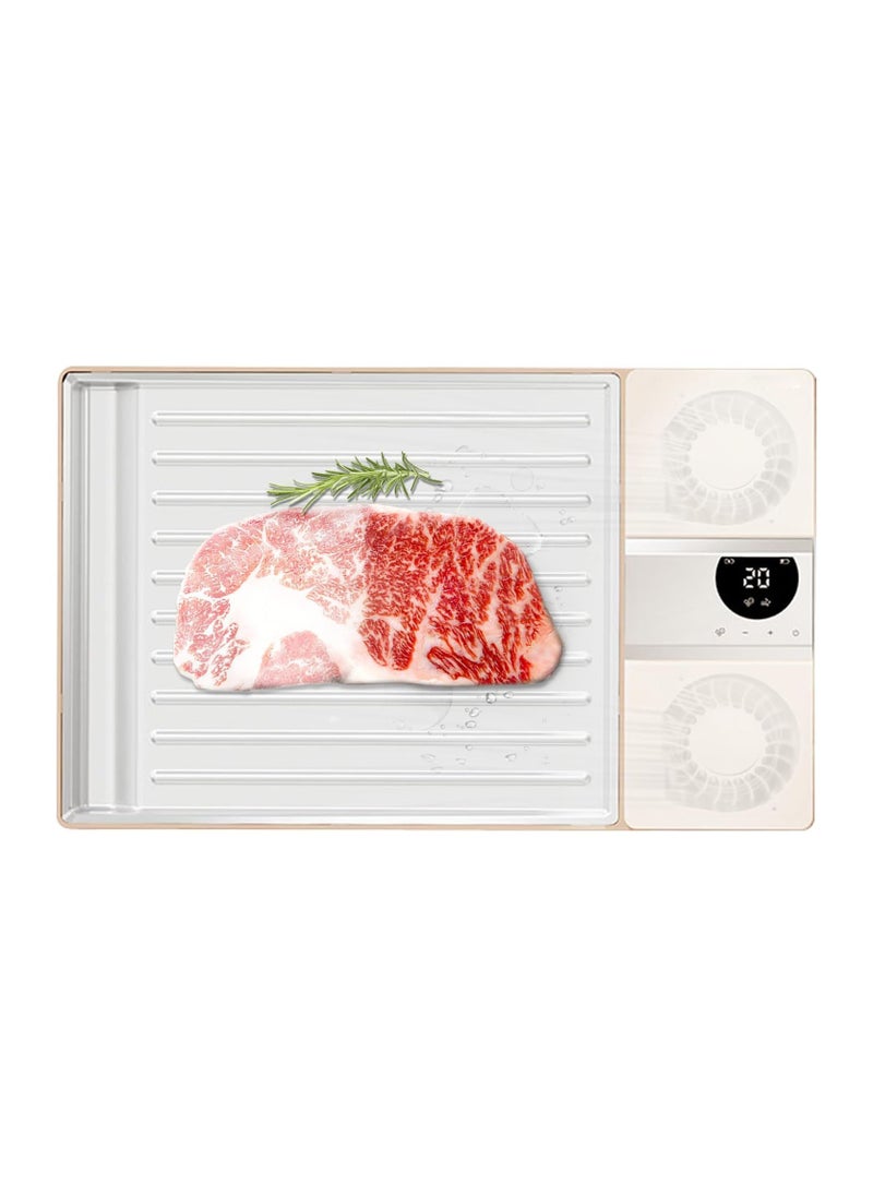 Generic - Ionic Electric Meat Defrosting Tray - Rechargeable Thawing Board for Frozen Meat, Thaws 5X Faster than Traditional Methods, Easy to Clean and Battery Operated. - Image 1