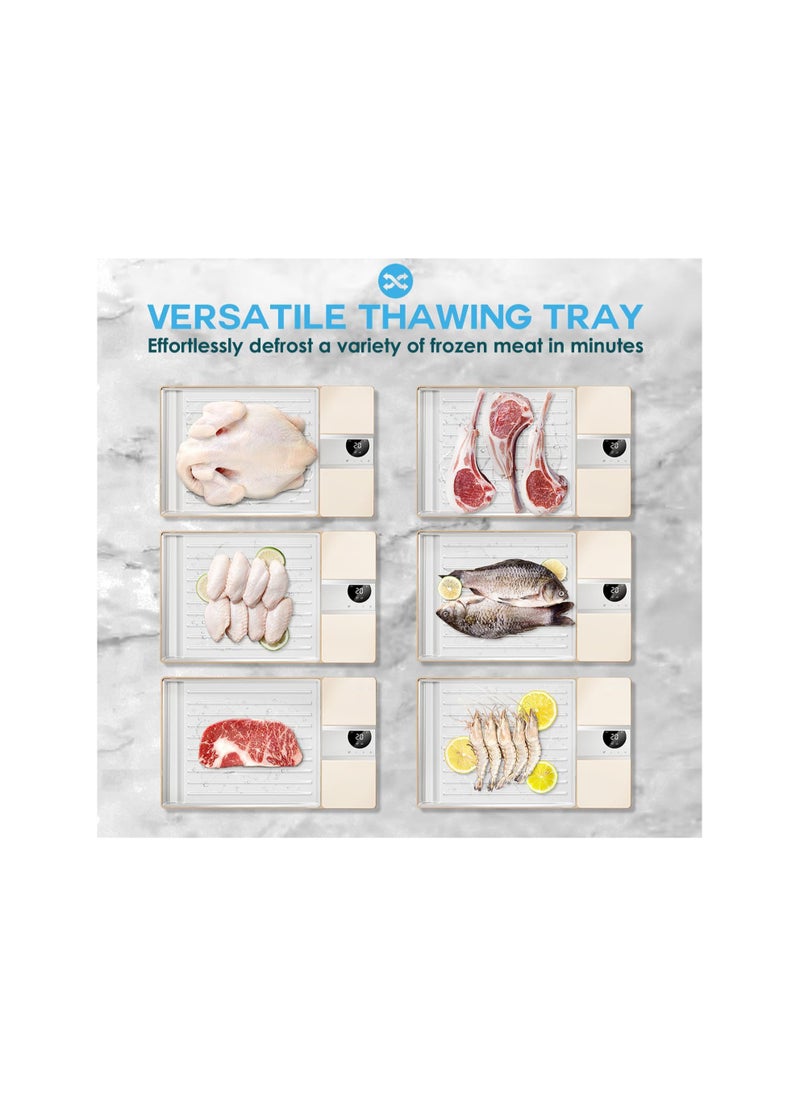 Generic - Ionic Electric Meat Defrosting Tray - Rechargeable Thawing Board for Frozen Meat, Thaws 5X Faster than Traditional Methods, Easy to Clean and Battery Operated. - Image 1