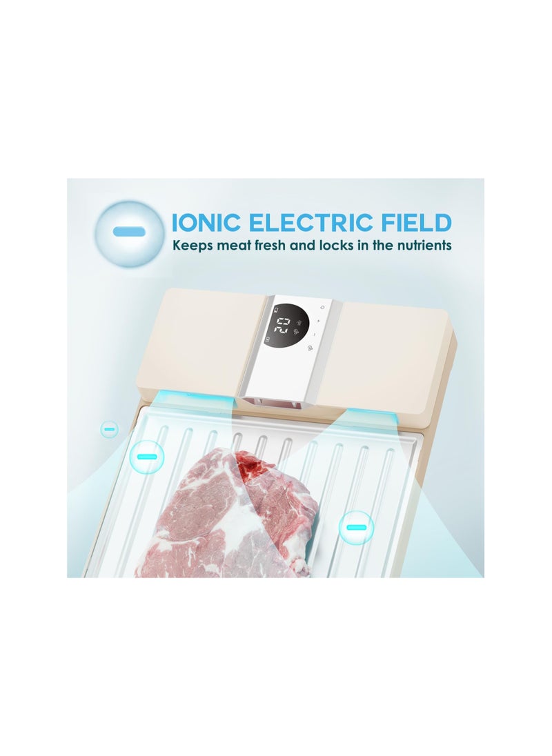Generic - Ionic Electric Meat Defrosting Tray - Rechargeable Thawing Board for Frozen Meat, Thaws 5X Faster than Traditional Methods, Easy to Clean and Battery Operated. - Image 1