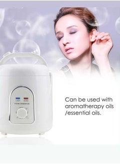 Sauna Steamer, Sauna Steamer Machine, Portable 1.5L Upgrated Steam Pot Generator With Timer, for Steam Saunas, 220V Plug - pzsku/ZAF2379E103068E97DAF9Z/45/_/1739613425/7099a1e5-626b-4422-869a-8994ca8f07c3