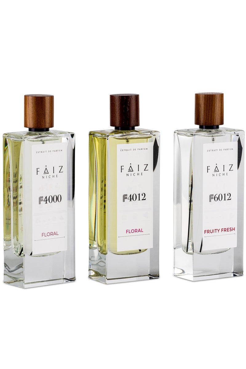 Faiz NICHE مجموعة F4000 + F4012 + F2012 للرجال 80 مل 3 قطع - Image 2