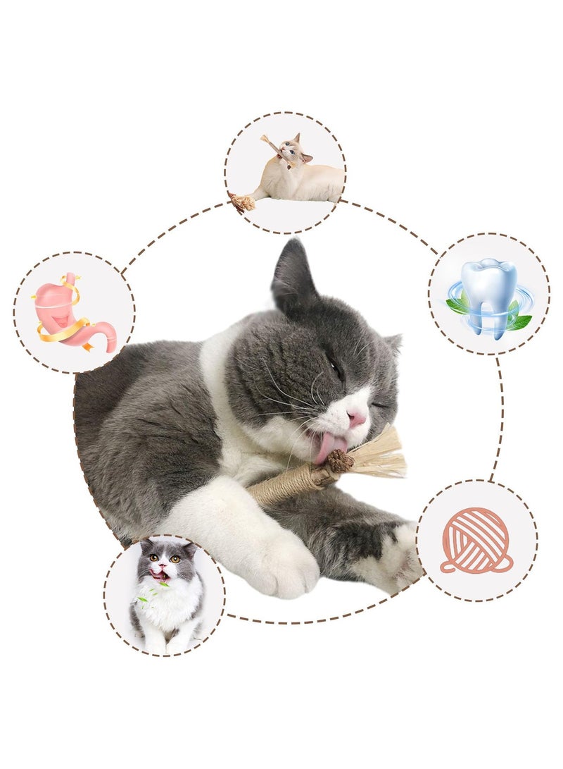 Pack of 8 Catnip Sticks, Paw Fun Teeth Cleaning Nibble Rods, Cat Teeth Brush for Cats, Cat Teeth Biting for Teeth Cleaning and Pressure Relief for Cats Indoors - Image 4
