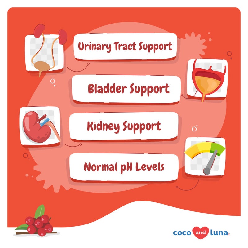 Coco and Luna Cranberry for Dogs - 90 Soft Chews - Urinary Tract Support, Bladder Health, Dog UTI, Bladder Stones, Incontinence Support, Cranberry Supplement - Image 2
