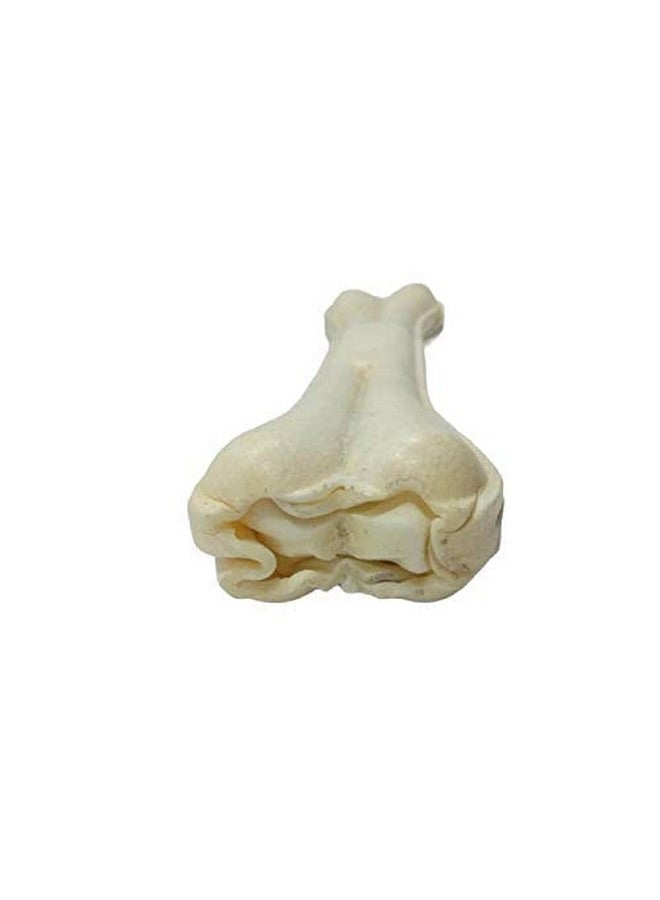 Premium Press Digestible Rawhide 10 Inch Calcium Chew Bones - Makes Teeth & Gums Healthy And Long Lasting Treats - (5 Piece) - Image 3