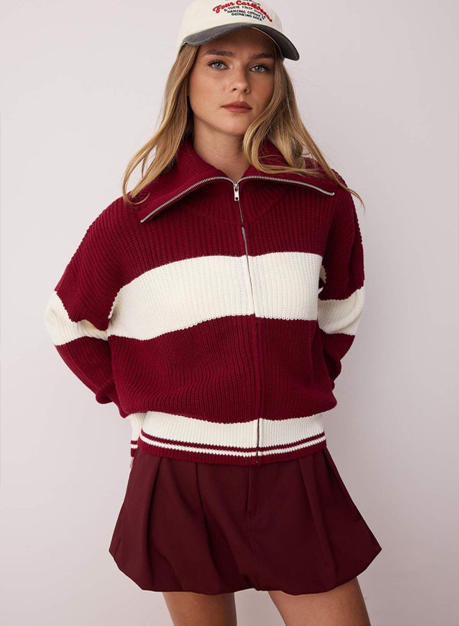 trendyol Claret Red*001 Wide Pattern Striped Turn-down Collar Zippered Knitwear Cardigan - Image 1