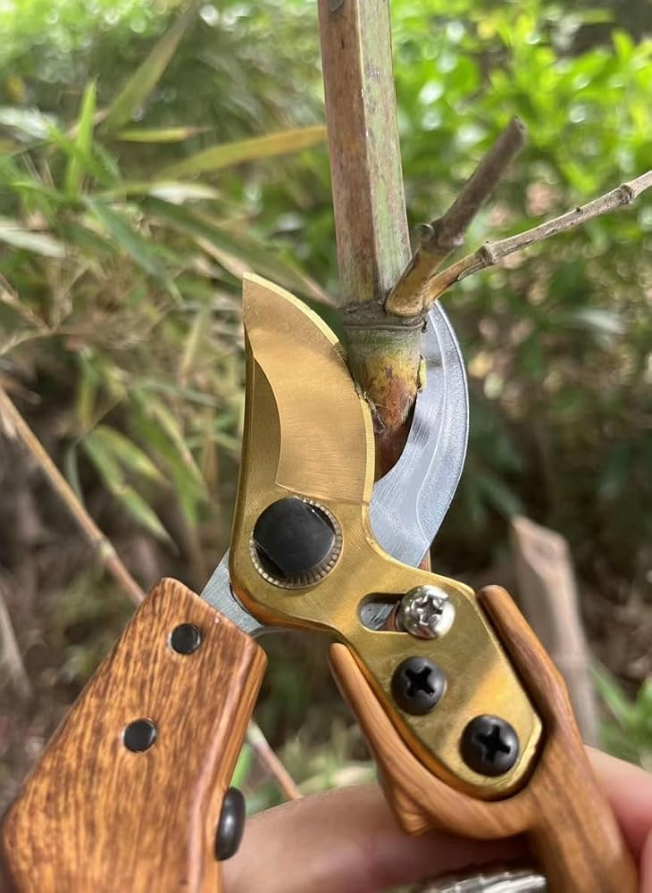 Excefore Garden Shears, EXCEFORE Premium Bypass Pruning Shears for your Garden, for Cutting, Trimming, Harvesting, Japanese Stainless Steel Blade, Cutting Through Anything in Your Yard - Image 4